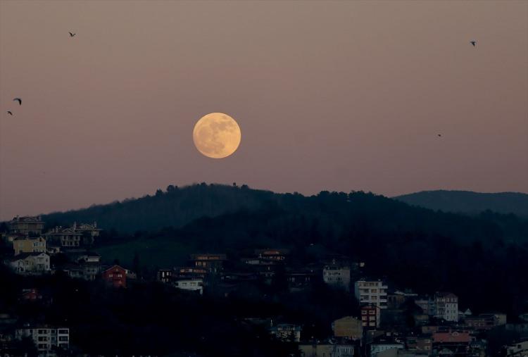 <p>İSTANBUL</p>
