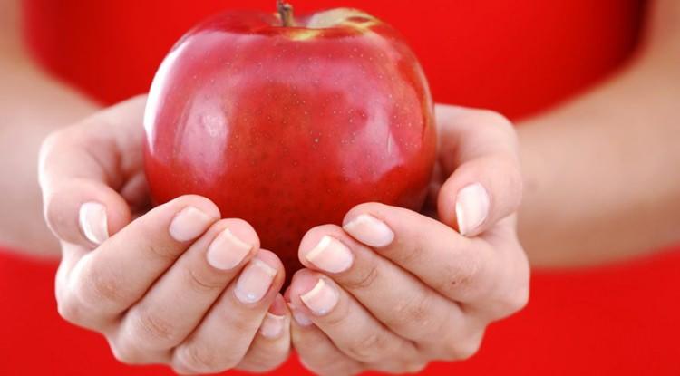 <p><strong>Elma</strong></p>

<p>Günde 1 adet elma tüketmek, kabızlık sorununu azaltarak basuru ve kolon kanserini önlüyor.</p>
