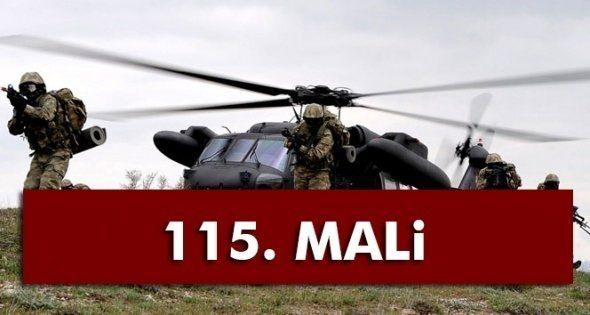 <p><strong>115- MALİ</strong></p>
