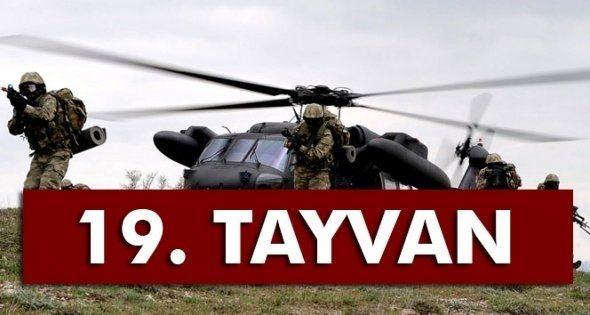 <p><strong>19- TAYVAN</strong></p>
