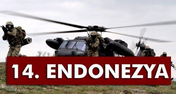 <p><strong>14- ENDONEZYA</strong></p>
