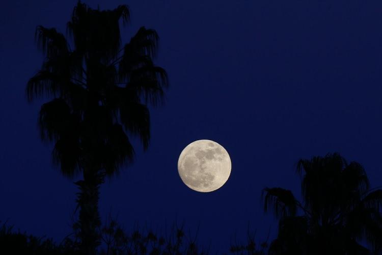 <p>ANTALYA</p>
