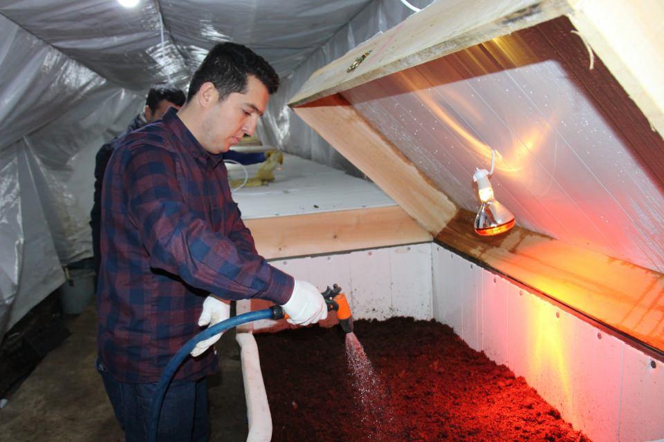 <p>Liseden beri arkadaş olduğumuz arkadaşlarla bu işe girdik. Altı ay gibi bir süre araştırma yaptık. Anlatılanlara doğrudan inanmadık. Bu işi yapanlarla telefonla ve yüz yüze gidip görüştük. Hem olumlu hem de olumsuz yanlarını sorduk. Aklımıza yattı, altı ay sonra başladık. Riski az olsun diye 100 bin solucan ile başladık. İşletme sürekli büyüyen bir işletme, şimdi 3 milyona yakın solucanımız var. Aylık ortalama üç tona yakın gübre üretiyoruz. Bunu önümüzdeki yıl dört katına çıkarmayı düşünüyoruz” dedi.</p>