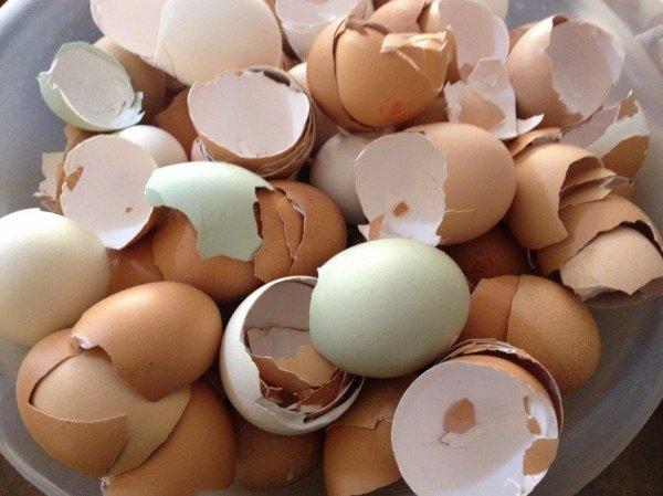 <p>Mikrodalga fırına yumurta asla kabukları ile konulmamalıdır. Yumurta kolay ısınacağı için patlamalar neden olabilir. </p>
