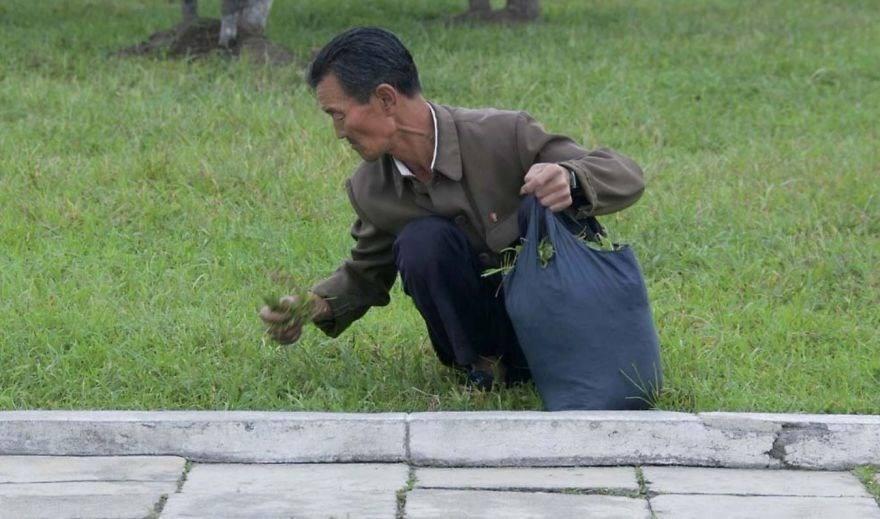 <p>Lafforgue, dışarıya kapalı yapısı nedeniyle 'gizemli ülke' olarak da anılan Kuzey Kore'deki gündelik yaşamı fotoğraflayabilen sınırlı kişilerden biri.</p>

<p> </p>
