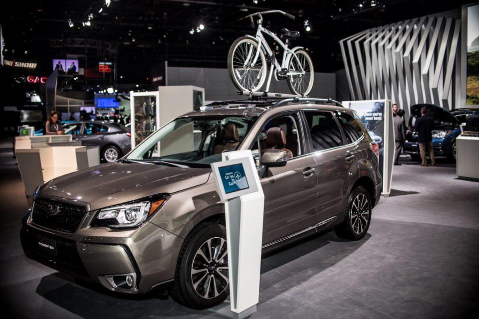 <p>Subaru Forester</p>
