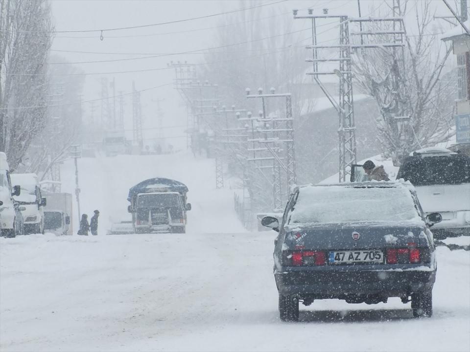 <p>AĞRI</p>
