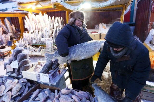 <p>Yakutsk'ta mezar kazmak da çok zor çünkü toprak yılın büyük bir kısmı donmuş vaziyette...</p>
