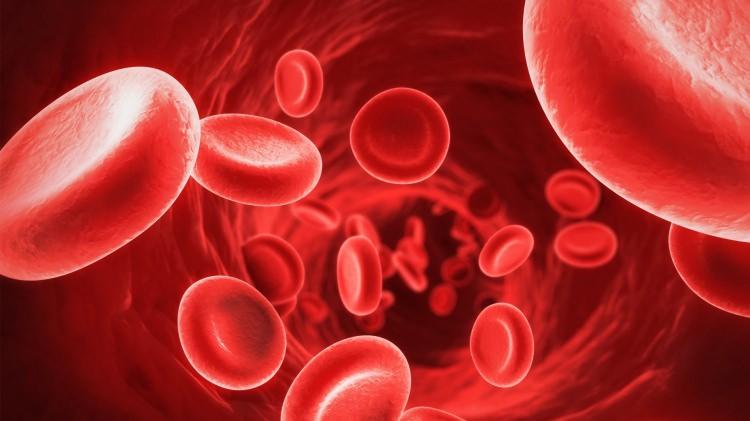 <p><strong>Kan grubu diyeti</strong></p>

<p>Yenilen yemeklerin kan grubuna göre reaksiyon gösterdiğini savunan bu diyet, Peter D'Adamo tarafından geliştirildi. Ancak bilimsel araştırmalar sonucunda kan grubunun kilo ile hiçbir bağlantısı olmadığı ortaya çıktı.</p>
