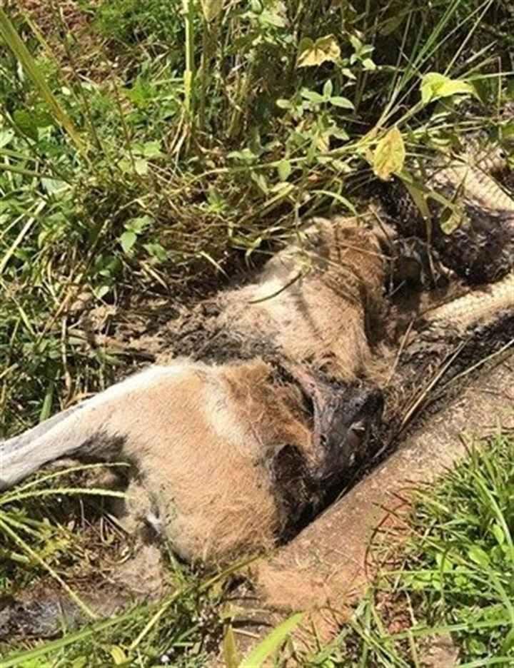 <div>İlk &ouml;nce fotoğraflarını &ccedil;ekti ve sosyal medya hesaplarından paylaştı.</div>

<div>&nbsp;</div>
