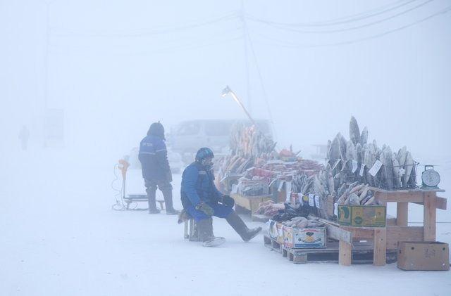 <p><strong>-71.2 DERECEYİ BİLE GÖRDÜ</strong></p>

<p>Yakutsk çevresinde bulunan Oimyakon köyünde ise sıcaklık 1924 yılında -71.2 derece ölçülmüş ve burası dünyanın en soğuk yerleşim yeri olarak sayılmış.</p>
