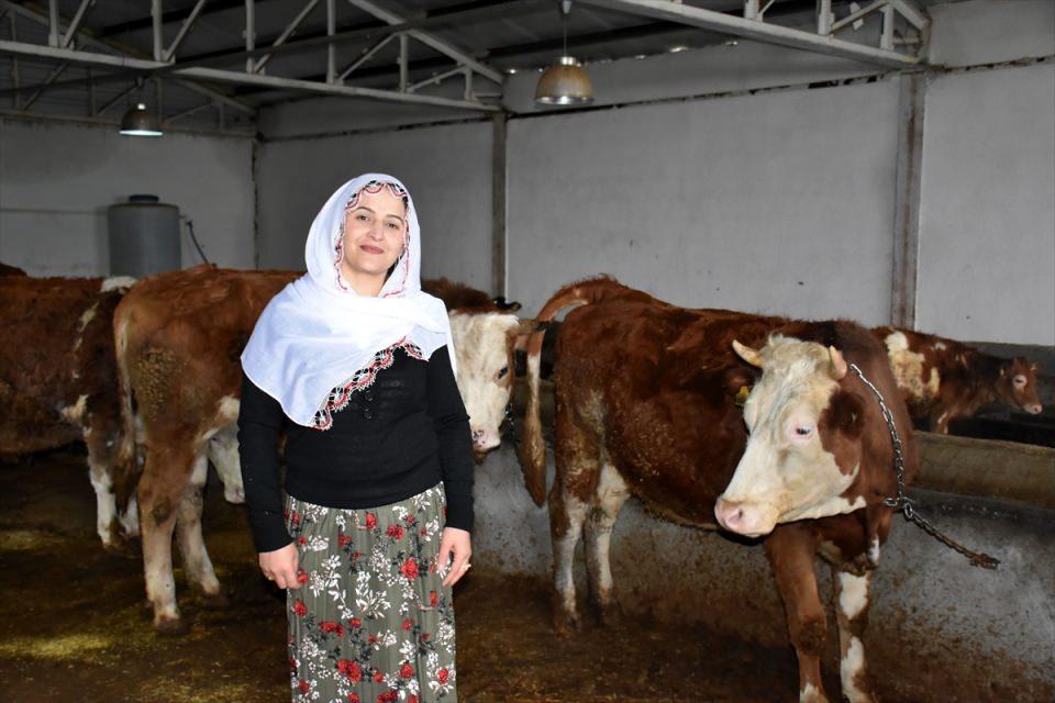 <p>Hayallerini gerçeğe dönüştürmek için TKDK'ya başvurduğunu anlatan Bulduk, "Devlet eşimle olan hayalimizi gerçekleştirdi. Ev kadınıyken devletin sayesinde işimin patronu oldum. Hedefimiz ayda 20 ton süt üretmek." dedi.</p>
