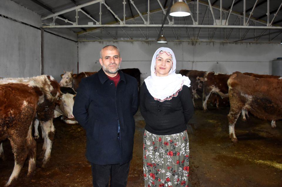 <p>Proje başvurusunda kadınlara sıralama kriterlerinde ek puan avantajı sağladıklarını anlatan Uygur, şunları kaydetti: <br />
"Girişimci Songül hanım, önceden hayvancılıkla uğraşıyordu ancak eşiyle daha kapsamlı ve modern bir işletme kurma hayalleri vardı. </p>
