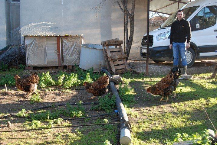 <p>Yumurtaların tanesini 40 liradan, civcivlerin bir tanesini de 75 liradan ülkenin birçok vilayetine gönderiyor.</p>