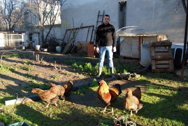 <p>Değerli diğer bir cins olan Osmanlı tavuklarının tanesini ise 500 ile 750 lira arası fiyatlarla satan Arslar, bu tavukların yumurtalarını 30 liradan meraklılarına gönderiyor.</p>