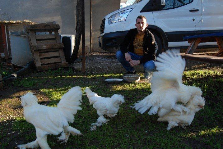 <p>Buradan elde ettiğim geliri hayvanların bakımına harcıyorum. Ülke genelinde cins tavuk meraklısı çok fazla.</p>