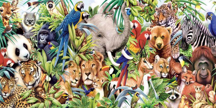 <p>Dünya üzerinde tropikal bölgelerden kutuplara kadar farklı iklim bölgelerinde birbirinden tuhaf hayvan türlerine rastlamak mümkün. İşte sizlere daha önce hiç görmediğiniz birbirinden farklı hayvan türleri...</p>
