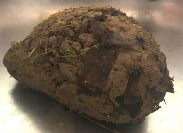 <p>Onu bulduklarında sıradan bir toprak parçası sandılar ama gerçeği görünce inanamadılar. Topraklar temizlenince içinden bakın ne çıktı.</p>
