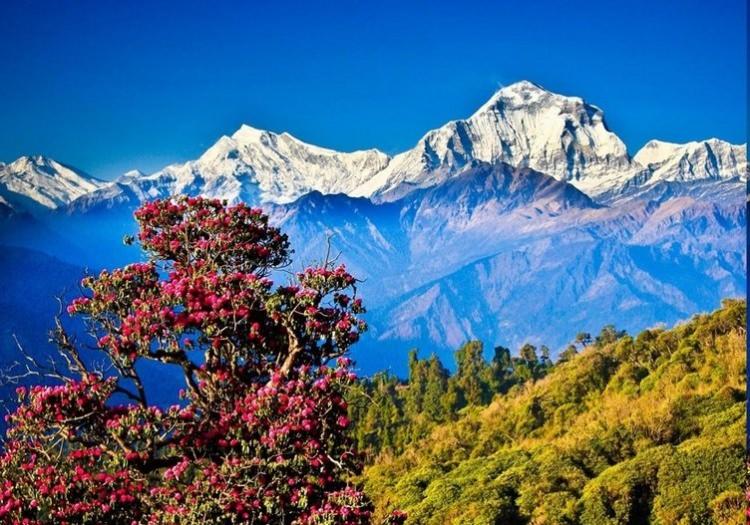 <p>Nepal</p>
<p>Kapıda vize uygulaması var.</p>