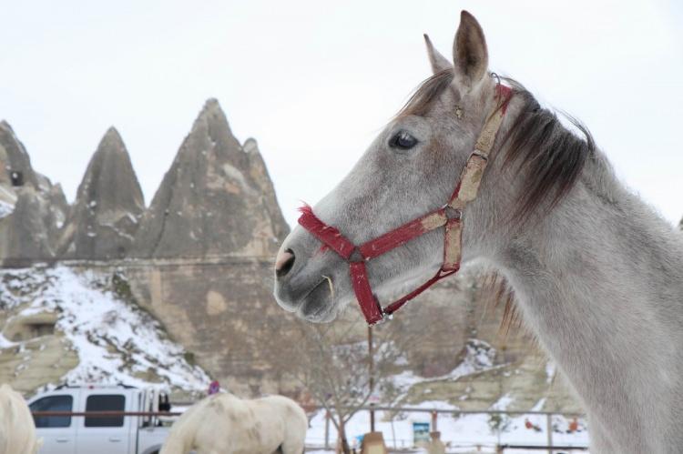 <p>Nevşehir’in merkez ilçeye bağlı Uçhisar ve Göreme beldelerinde bulunan peribacalarının karlarla kaplanması adeta kışın sanatını bir kez daha gözler önüne serdi.</p>

<p> </p>
