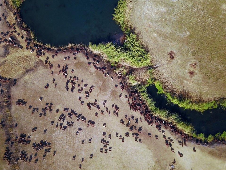 <p>Iğdır Orman ve Su İşleri Müdürü Mete Türkoğlu, Ağrı Dağı Milli Parkı'nın bölge için en büyük zenginliklerden biri olduğunu söyledi. </p>