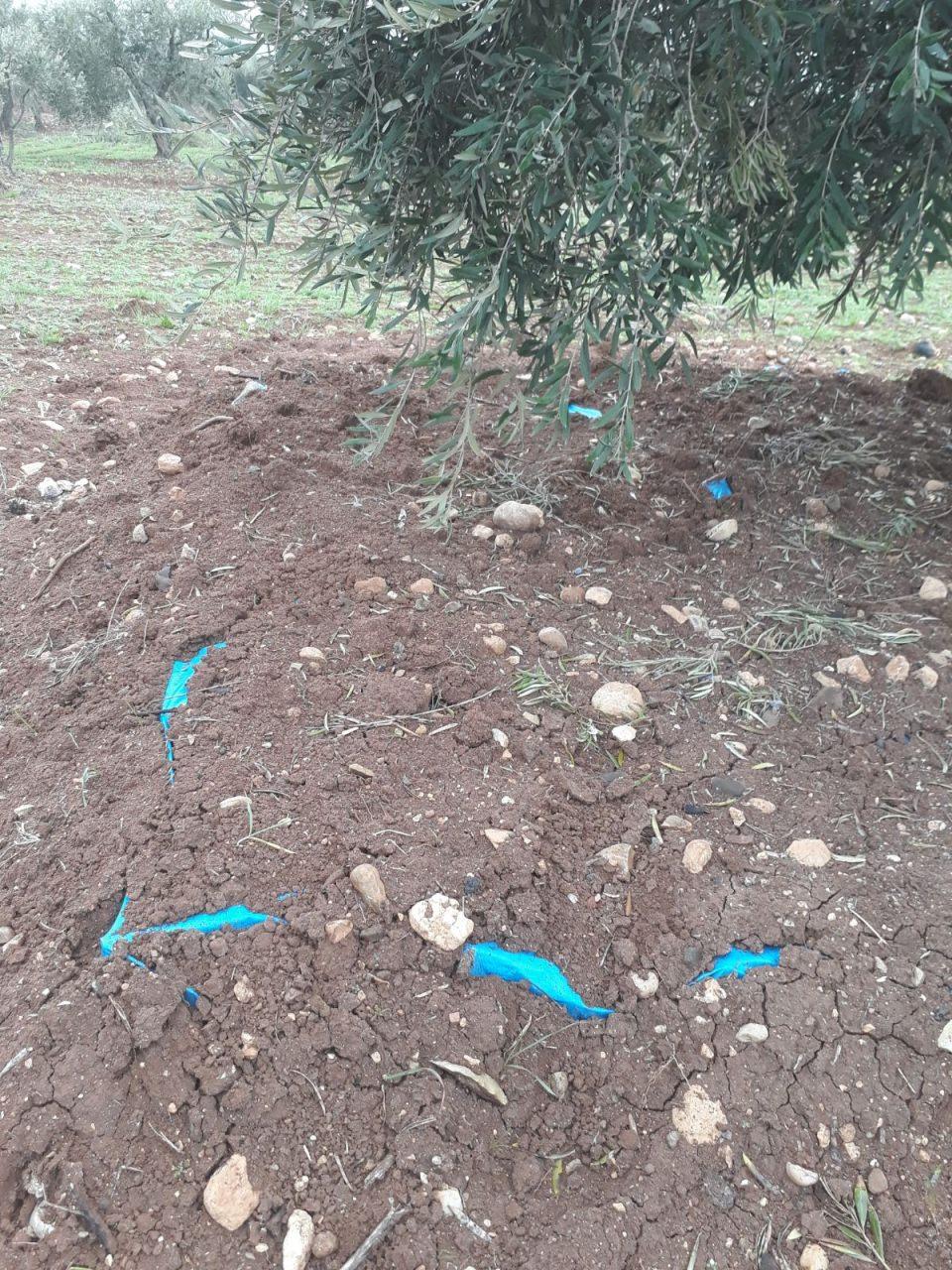 <p>Teröristlerce kazılan sığınakların özellikle İnsansız Hava Araçları (İHA) tarafından tespitinin önlenmesi için girişlerinin ağaç altlarına yapıldığı belirlendi. Ayrıca bu sığınakların girişlerinin de naylon branda ile kapatılarak kamufle edilmek istendiği saptandı.</p>
<p> </p>