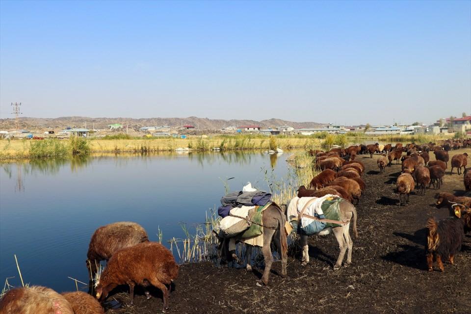 <p>"Hafta sonları özellikle buraya gelip yaban hayatı fotoğrafçılığı yapıyorum. Birçok kemirgen, sürüngen ve kuş türünü görüntülüyorum. Bu alan oldukça sıcak bir iklime sahip olduğundan, sürekli yaban hayvanı görüntüleyebiliyoruz. Birçok kuş türünü burada görmek mümkün. Her mevsim ayrı bir güzelliğe sahip, bozulmamış bir coğrafyası var. İlgi duyan fotoğrafçıları buraya davet ediyorum. Kesinlikle kolay kolay bulunmayacak güzellikler sunuyor."</p>