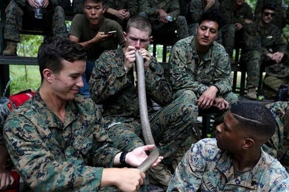<p>Askeri tatbikatta kobra kanı içip doğada hayatta kalmayı öğrendiler</p>

<p> </p>
