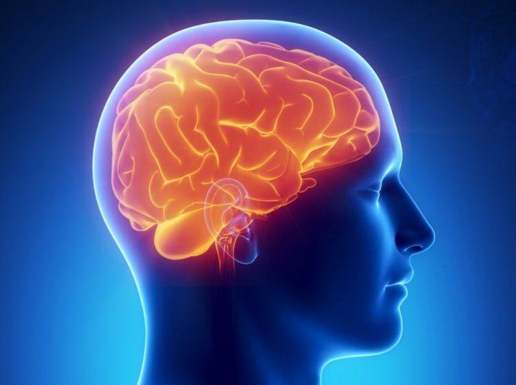 <p>Merkezi sinir sisteminin en önemli bölümlerinden biri olan beyin sağlığını korumak oldukça önemlidir. Günlük hayatta tüketilen yiyeceklerden, uyku düzenine; gün içerisindeki faaliyetlerden spora kadar birçok etken beyni etkiliyor. İşte sağlıklı bir beyin gelişimi için dikkat etmeniz gerekenler...</p>
