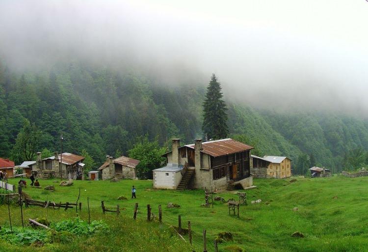 <p><strong>Pokut Yaylası</strong></p>
<p>Rize ilinin Çamlıhemşin ilçesinde bulunan Pokut yaylası, görenleri kendine hayran bırakan doğası ve temiz havası ile göz kamaştırıyor. </p>