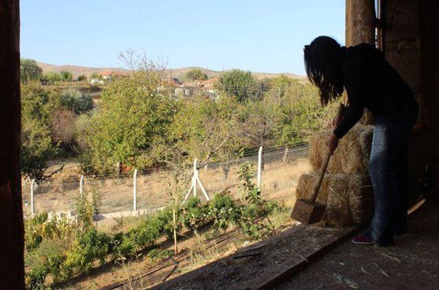 <p>Samanları ilk aldığımda, &lsquo;herhalde hoca mandıra ile uğraşıyor, hayvanları var&rsquo; diye d&uuml;ş&uuml;nd&uuml;ler. Belki &ccedil;ok kişi g&uuml;ld&uuml;. Ama benim hayalimde saman ev hep vardı. Bir &ccedil;ok aileye de &ouml;rnek oldu. Arsa arayıp bu şekilde ev yapmak isteyenleri duydum. Doğa ile uğraşmak isteyen bir &ccedil;ok arkadaşımız oldu. Misafirden, burayı ziyaret etmek isteyenlerden artık iş yapamaz hale geldik."</p>

<p>&nbsp;</p>
