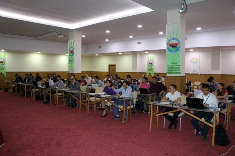 Hükümetten 6 dev adım! Türkiye devler ligine çıkacak