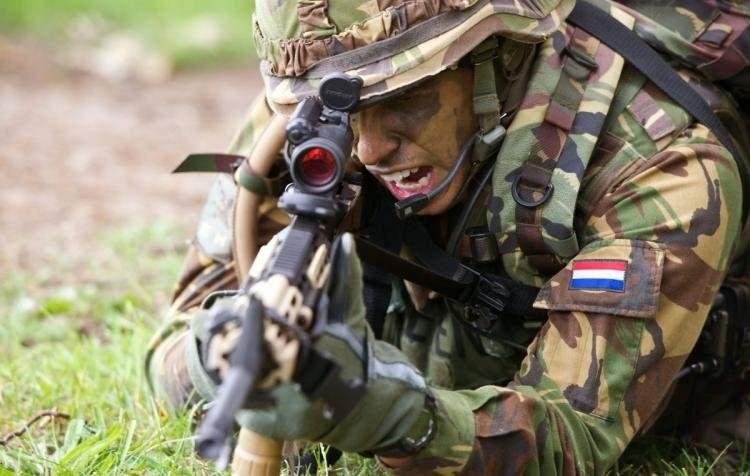 <p>37 HOLLANDA</p>

<p> </p>
