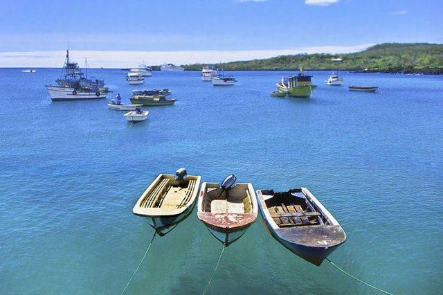 <p><strong>12. Puerto Ayora - Galapagos Adaları </strong></p>
<p>Puerto Ayora, Ekvator'un Galápagos kentinde bulunan ve Santa Cruz Adası'nın güney kıyısında yer alan bir şehirdir. Tortuga Körfezi, denizci iguanaları, kuşları, galapagos yengeçlerini ve beyaz ucu reef köpekbalıklarını ve dev galápagos kaplumbağa yerini alabileceğiniz doğal bir mangrove görüntüleyebileceğiniz Puerto Ayora'nın merkezine kısa bir yürüme mesafesindedir.</p>