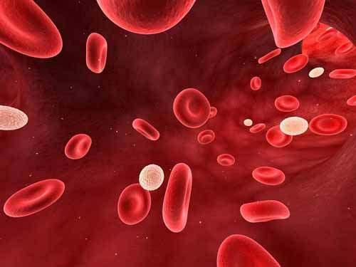 <p><strong>Beyaz kan hücrelerini azaltan hastalıklar...</strong></p>
<p>- Kaşeksi</p>
<p>- Hematolojik rahatsızlıklar</p>
<p>- SLE</p>
<p>- Hemodiyaliz</p>