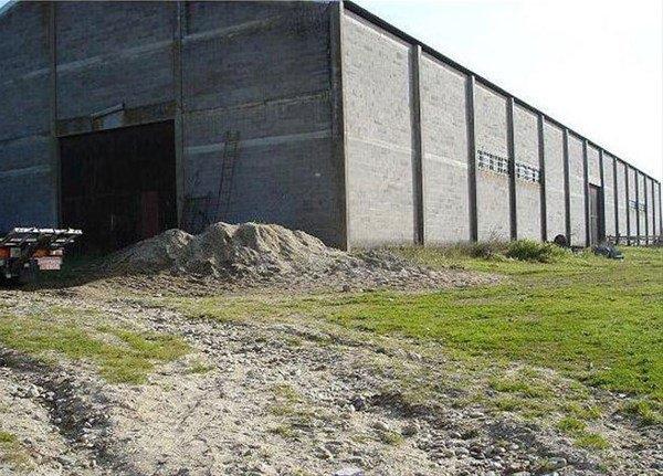 <p>15 yıldır açılmayan ahırın içinden çıkanlar herkesi şok etti.</p>
<p> </p>