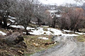 <p>Çevrede geniş güvenlik önlemleri alan ve teknolojinin tüm imkanlarından faydalanan tim, "Eşek arısı" ile patlayıcıyı inceledikten sonra, kaldırdıkları helikopter drone ile bölgede gözetleme yaptı.</p>
<p> </p>