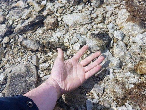 <p>İsveç'te tertemiz bir su.</p>

<p> </p>
