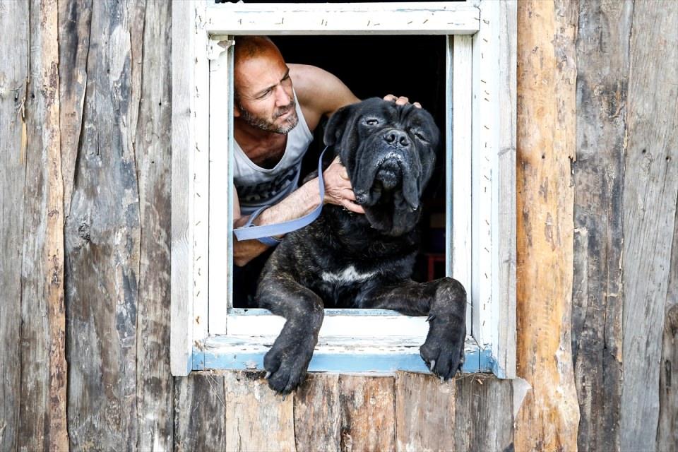 <p>Statham gibi aksiyon filmlerinde rol almak için spor yapmaya devam ettiğini belirten Yıldırım, komedi ve dram filmlerinde rol alabileceğine işaret etti. </p>
<p> </p>