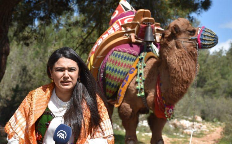 <p>Anaokulu öğretmenliği mezunu emlakçı 29 yaşındaki Seçil Sayar Ünlü, işinden arta kalan zamanda her gün eşiyle Kumköy Mahallesi'ndeki kayınpederine ait ahırdaki devesine koşuyor.</p>
