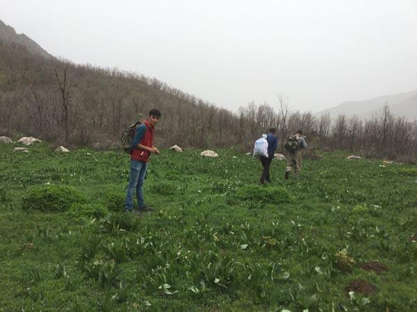 <p>Akşam saatlerine kadar buralara gelip pancar toplayıp çantalarımıza atıp evlerimize götürüyoruz.</p>
