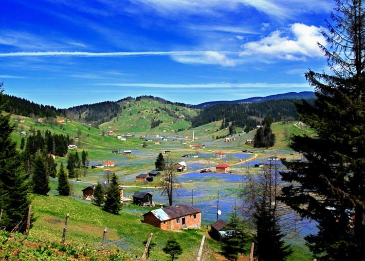 <p>İlkbaharın gelişiyle dağlarının karla kaplı olduğu, yeşilin farklı tonlarını sunmaya başlayan yayla, mavi yıldız çiçekleriyle renk çümbüşüne dönüştü.</p>

<p> </p>
