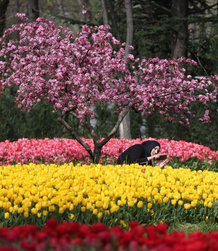 <p>Bursa'da baharın gelmesiyle birlikte belediye ekiplerince yeşil alanlara ekimi yapılan 5 milyon çiçeğin ardından kent, adeta rengarenk bir görünüme büründü.</p>

