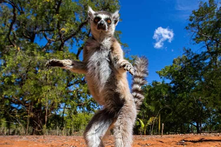 <p>Madagaskar - vizesiz</p>

<p> </p>
