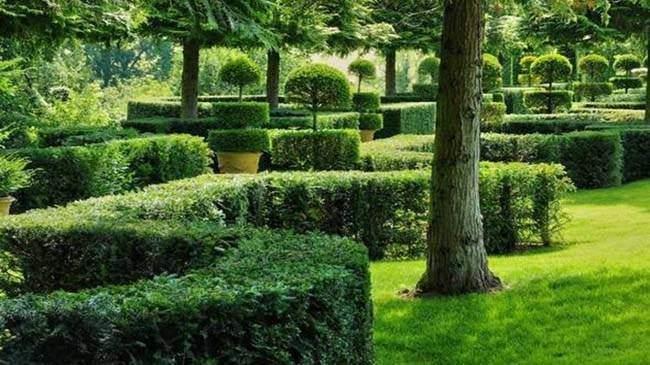 <div>Jardins du Manoir d'Eyrignac - Fransa</div>
<div> </div>