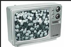 <p><strong>RENKLİ TV İÇİN KADIN ÇORABI GEÇİRİN</strong></p>
<p>1962'de İsveç'in siyah beyaz yayın yapan tek televizyon kanalına 1 Nisan'da çıkan bir teknisyen, ekranın önüne bir naylon kadın çorabı geçirerek izleyicilere renkli televizyon izleyebilecekleri müjdesini vermişti. </p>