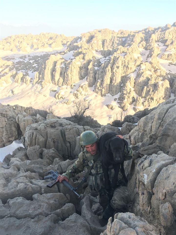 <p>Türk Silahlı Kuvvetleri, Hakkari Şemdinli ilindeki Derecik Balkayalar'da sınıra sıfır noktada operasyonlarına devam ediyor. </p>