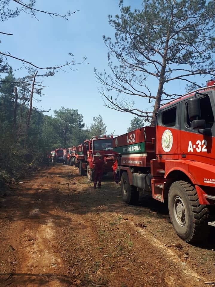 <p>Hatay'ın Arsuz ilçesi Amanos Dağı kırsalında terör örgütü PKK'ya yönelik operasyon sırasında, teröristlerin iki ayrı noktada çıkardığı orman yangını kontrol altına alındı.</p>
<p> </p>
