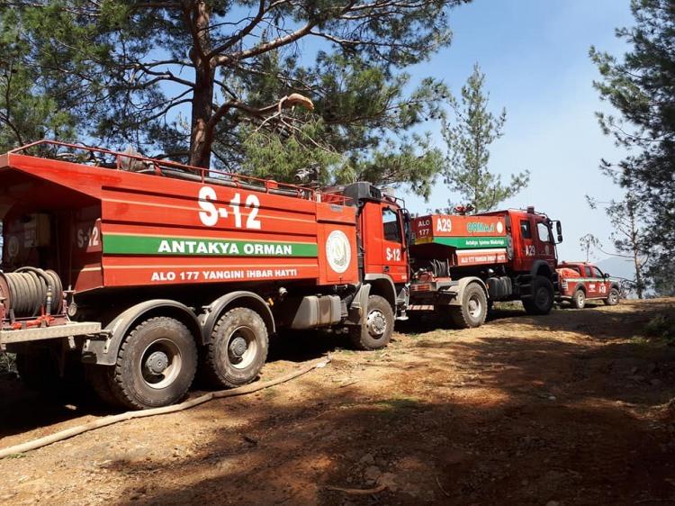 <p>Yangında ilk belirlemelere göre 5 hektar ormanlık alan zarar gördü.</p>
<p> </p>