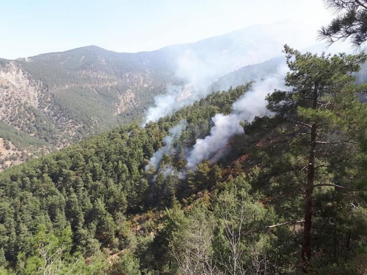 <p>Arsuz ilçesi Amanoslar kırsalında sürdürülen terör operasyonu sırasında PKK'lı teröristler, bölgedeki ormanlık alanda iki ayrı noktayı ateşe verdi.</p>
<p> </p>